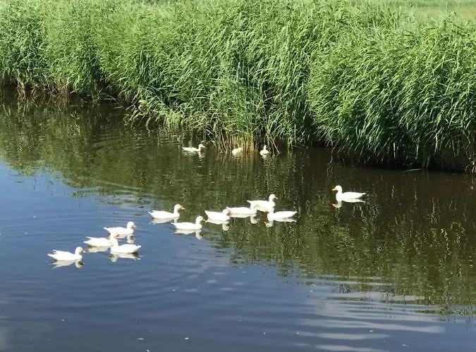 Bed & Breakfast De Heul *