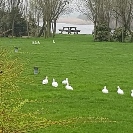 De Heul Couette-café