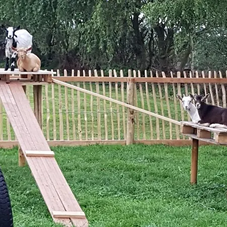 Couette-café De Heul