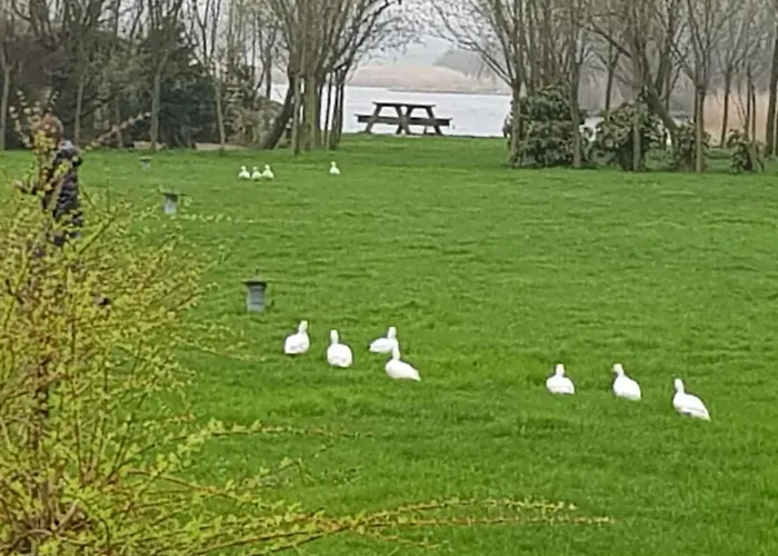 De Heul Couette-café