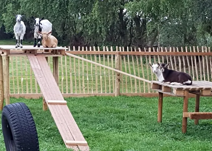 Couette-café De Heul